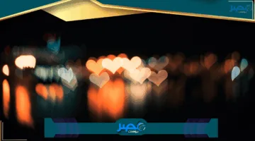 «تحقق بنفسك» نتائج الصفين الأول والثاني الإعدادي بالإسماعيلية عبر الموقع الرسمي